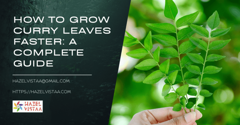 How to Grow Curry Leaves Faster