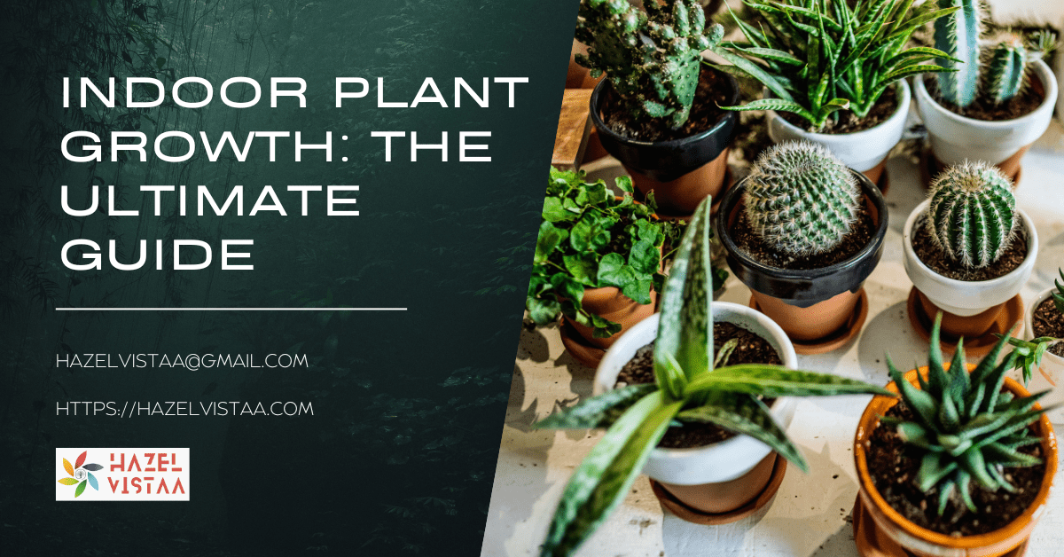 Indoor Plant Growth The Ultimate Guide