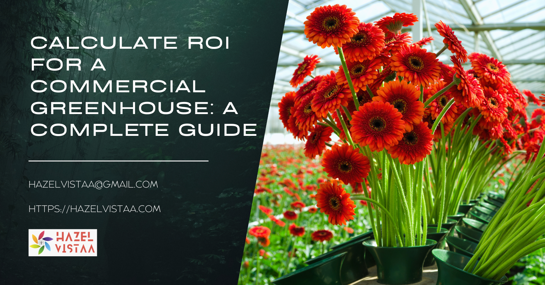 Calculate ROI for a Commercial Greenhouse