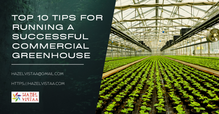 Top 10 Tips for Running a Successful Commercial Greenhouse