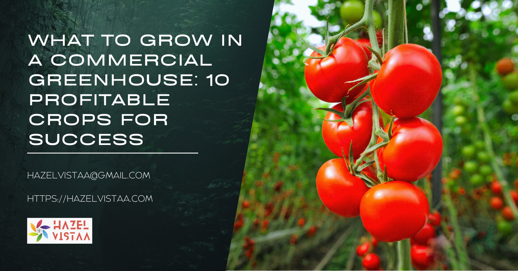 What to Grow in a Commercial Greenhouse