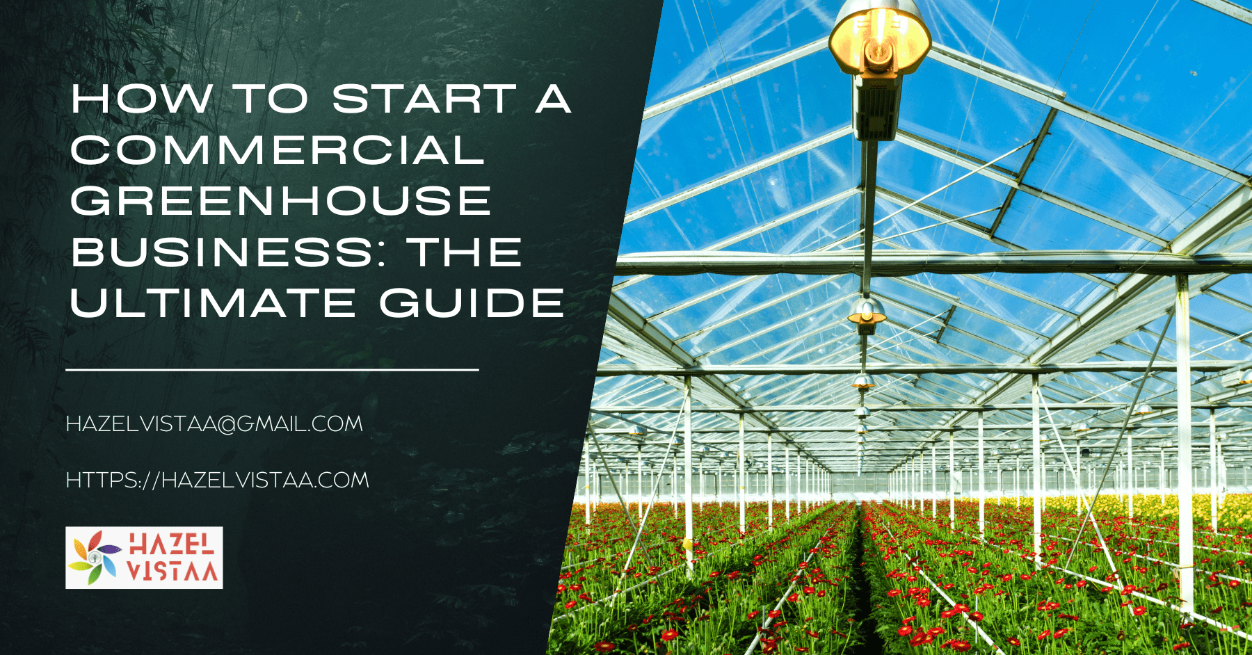 how to start a commercial greenhouse business